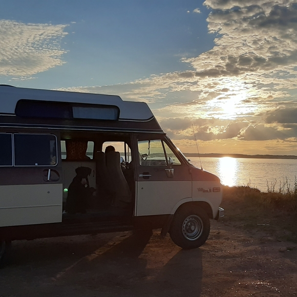 Meet your Posher, Janelle - Picture 3 of 4